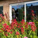 B&B Om De Hoek